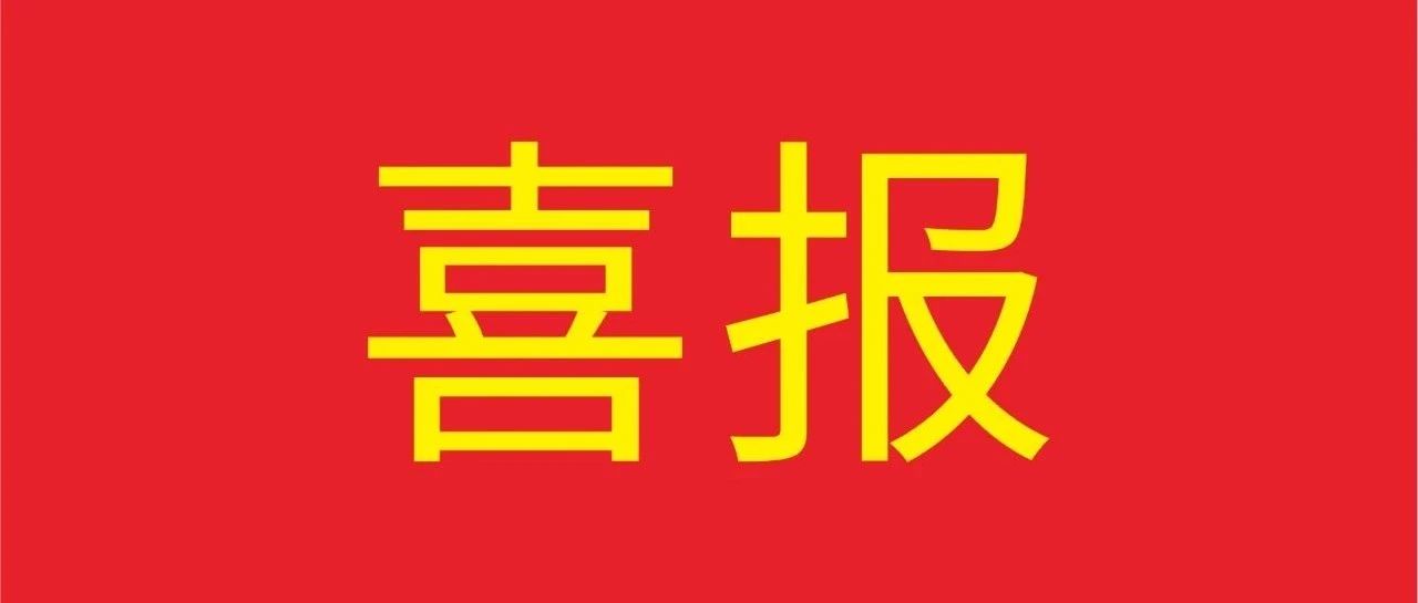喜报 | 9393体育集团荣获《狮山经济生长突出孝顺企业》多项殊荣！