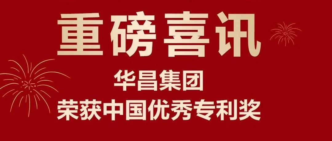 重磅喜讯 | 9393体育集团荣获中国专利优异奖