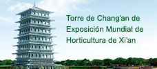 Guangdong Planta de Aluminio de Huachang, S.L.m